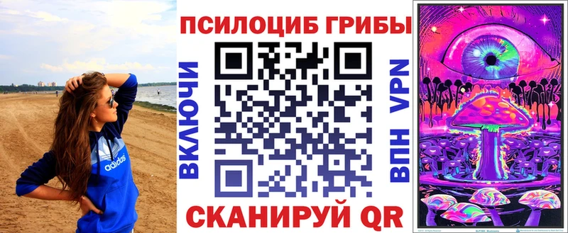 Купить  Грайворон  Галлюциногенные грибы Psilocybe 